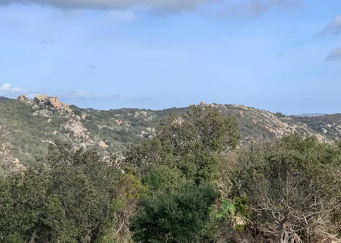 Alzitedda Πανσιόν 2*
